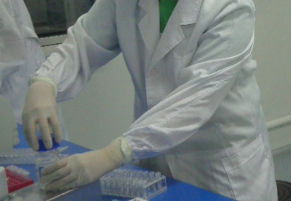 怀孕几个月郴州需要怎么办理胎儿亲子鉴定,郴州做怀孕亲子鉴定结果准吗