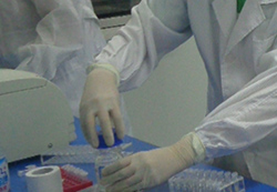 怀孕几个月郴州需要怎么办理胎儿亲子鉴定，郴州做怀孕亲子鉴定结果准吗
