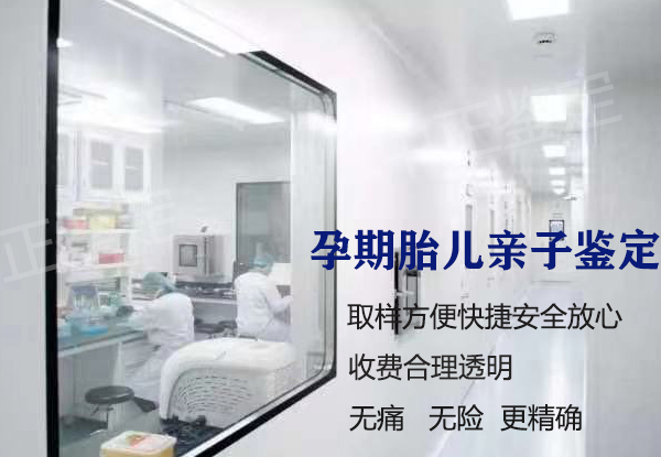 郴州胎儿亲子鉴定机构出结果时间,郴州孕期亲子鉴定流程是怎样的呢 郴州胎儿亲子鉴定机构出结果时间,郴州孕期亲子鉴定流程是怎样的呢